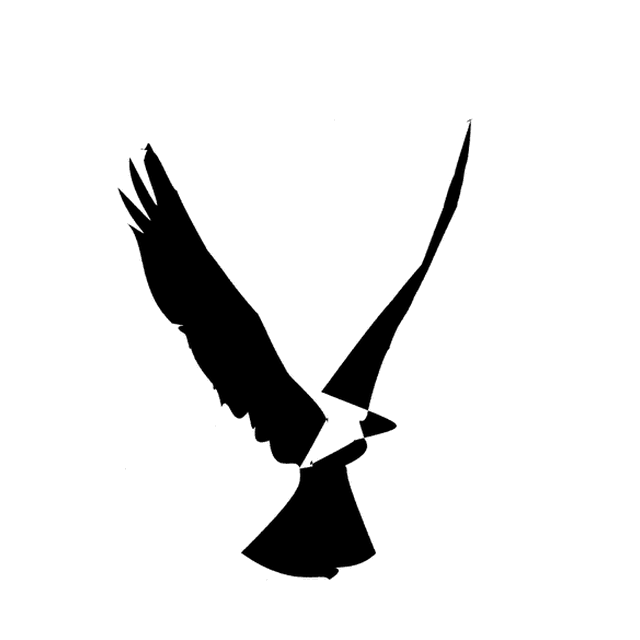 The free per-frame drive arm animating the V as a bird in flight.