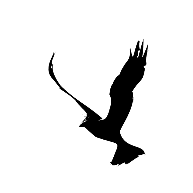 The full model animating the V as a bird in flight.