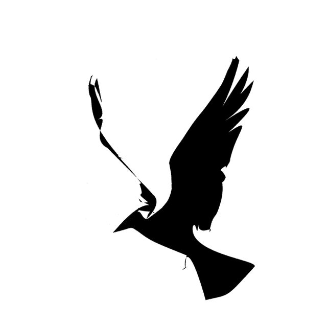 The no orthogonalization arm animating the V as a bird in flight.