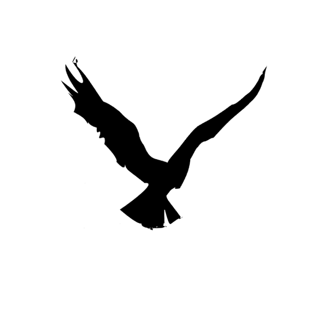 The global modes only arm animating the V as a bird in flight.