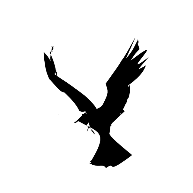 The four eigenmodes arm animating the V as a bird in flight.