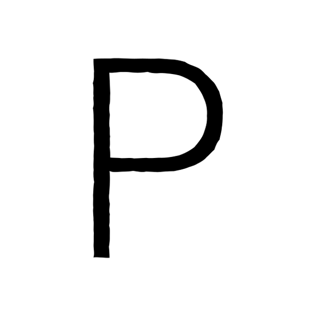 The input letter P in Roboto Light.