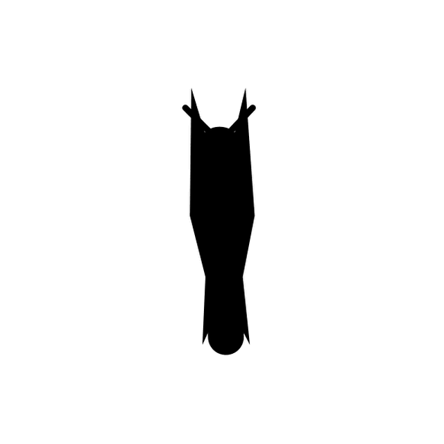 Astra's animation of the M as a moth.