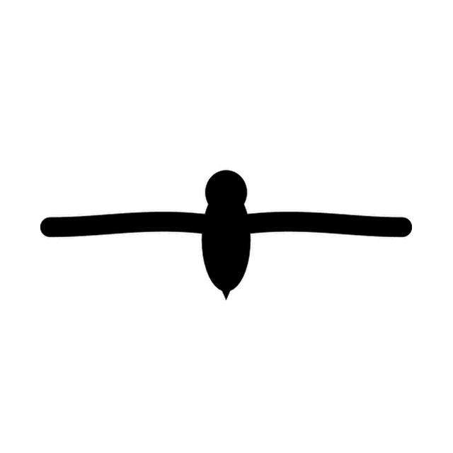 Astra's animation of the V as a bird in flight.