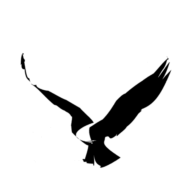 Strike a Chord's animation of the V as a bird in flight.