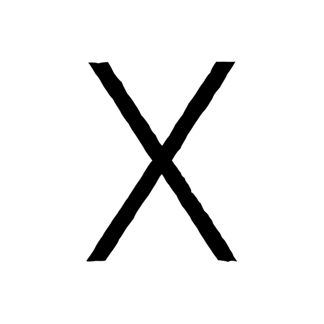 The input letter X in Roboto Light.