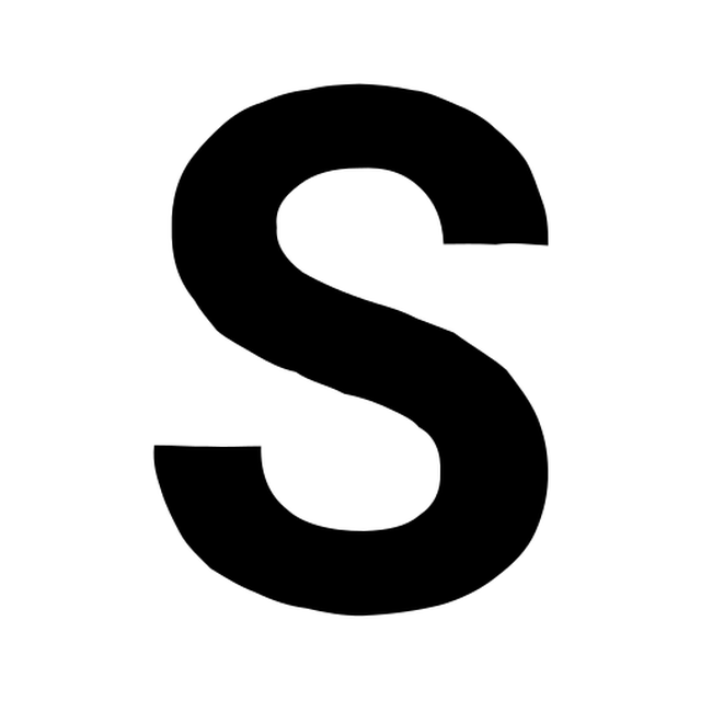The input letter S in Roboto Bold.
